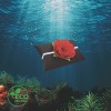 Black Voyager Urn with Red Memorial Petal